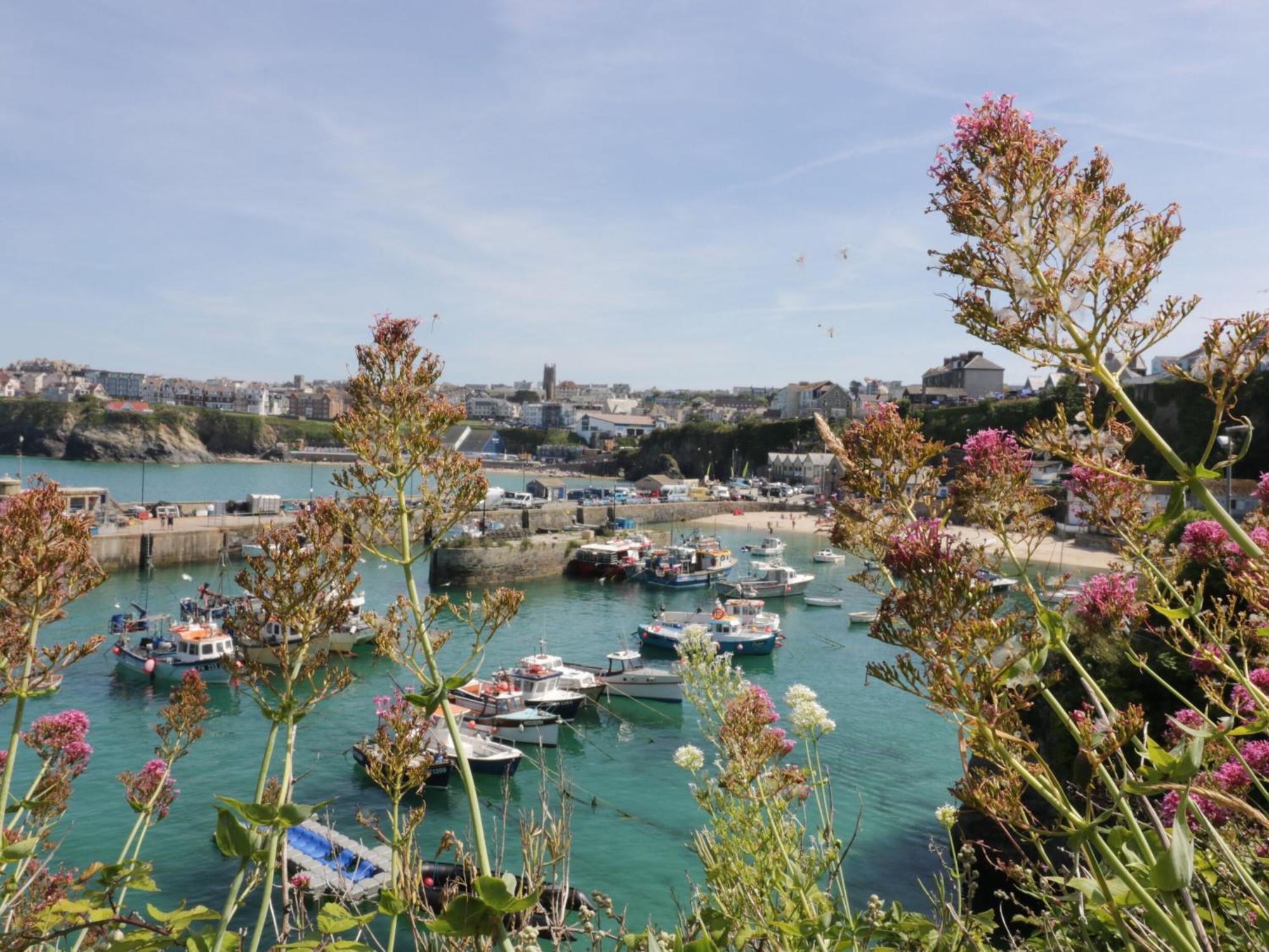 4 Trevanson Mews Newquay  Bagian luar foto